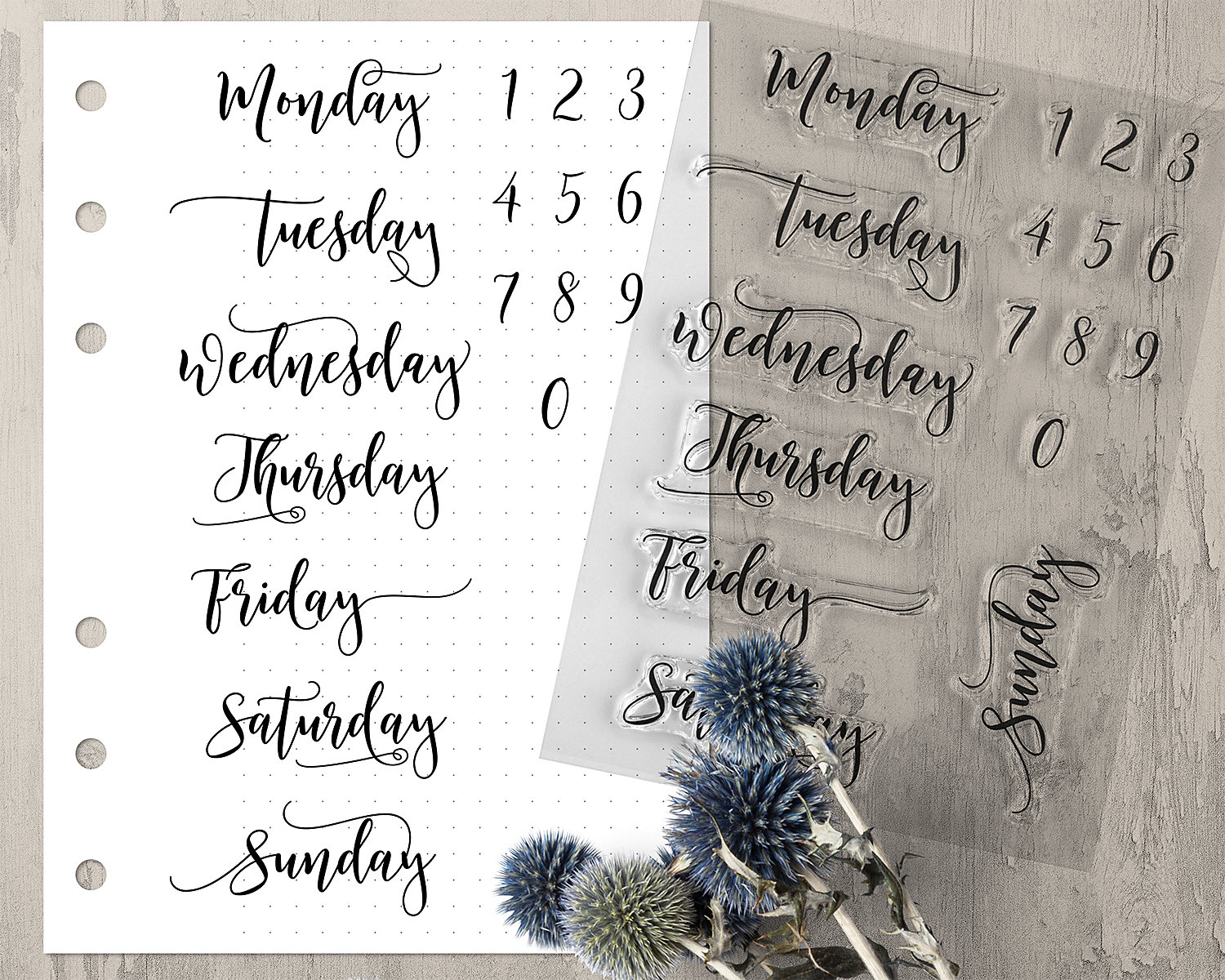Weekday Bullet Journal Stamps, Clear Planner Stamps, Days of the Week,  Numbers