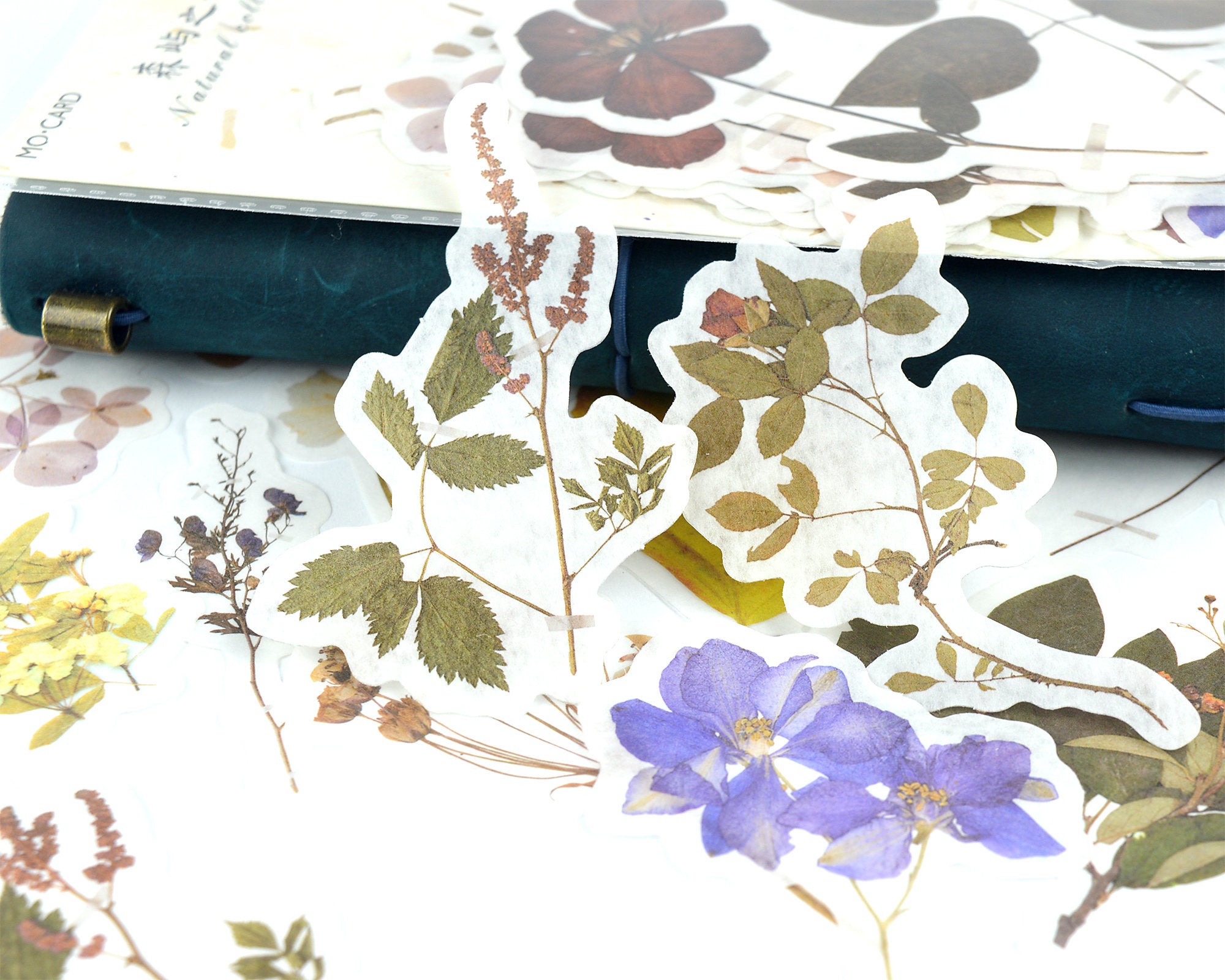 Pressed Flower Washi Stickers 60 pcs, Dried Floral Botanical Stickers -  Printed Heron